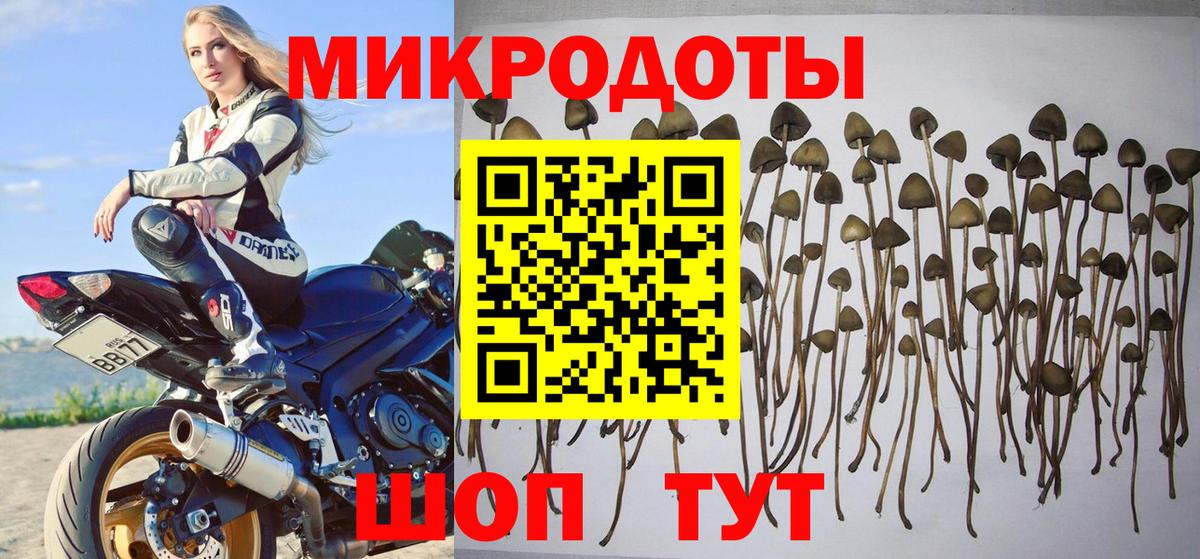 Галлюциногенные грибы ЛСД Мурино